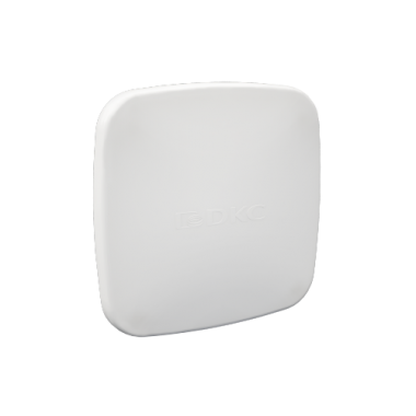 Фотография товара 'DKC 09591R Заглушка торцевая запасная для 09591, 09581, 09571'